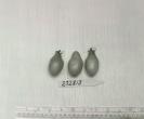 Click for 1 image(s) for this accession. FRUIT
